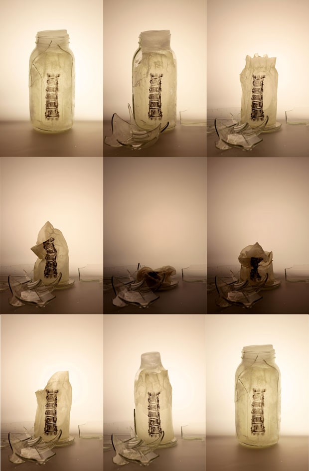 A series of glass bottles with a spinal cord embossed, breaking down