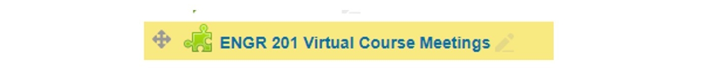 Virtual Course Meeting