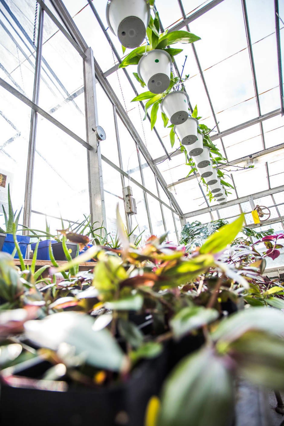 The Concordia University greenhouse is just one in a slew of urban horticulture projects in Montreal.