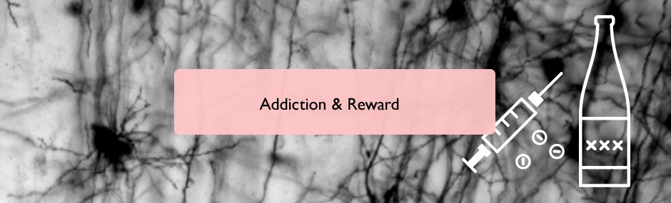 Addiction and reward