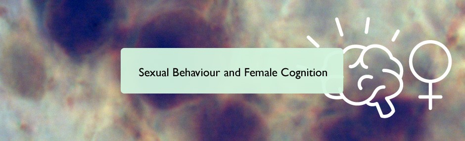 Sexual behaviour and female cognition