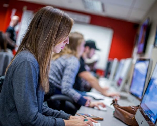 Career-related jobs or internships