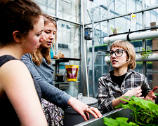 How students can improve their work and grad school prospects