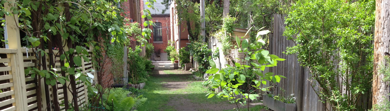 Helping cities beat the heat