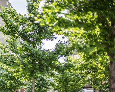 How can universities go from good to great?