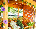 Christmas comes early for Concordia’s City Farm School