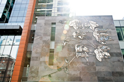Geneviève Cadieux’s Lierre sur Pierre (Ivy on Stone) on the main facade of the John Molson School of Business Building.