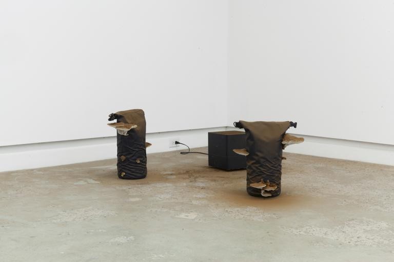Simon Belleau, Sans titre, 2016. Image reprise du site Web http://ville.montreal.qc.ca/culture/simon-belleau Simon Belleau, Sans titre, 2016. Image reprise du site Web http://ville.montreal.qc.ca/culture/simon-belleau