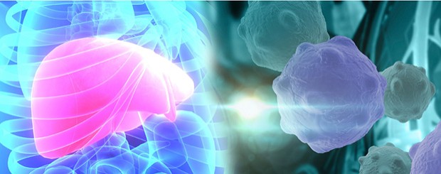 Lithocholic acid, a bile acid produced in the liver, is particularly effective in killing cancer cells. Lithocholic acid, a bile acid produced in the liver, is particularly effective in killing cancer cells.