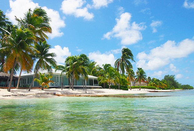 While the palm trees of the Cayman Islands attract tourists, their lax tax attitude attracts foreign company subsidiaries. While the palm trees of the Cayman Islands attract tourists, their lax tax attitude attracts foreign company subsidiaries.