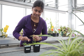 Canadian Commonwealth Scholarship Program student Gajra Garg is studying biology at Concordia until April 2011. | Photo by Concordia University