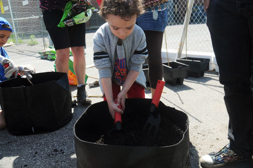 Stellan Ezerzer shovels compost to be used in planting, as part of the Tomati project at Royal Vale elementary school on June 4 in Montreal. | Photos by Riley Sparks