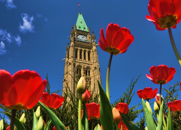 The Peace Tower, Canadian Parliament Building. Photo by beyondhue (flickr creative commons)