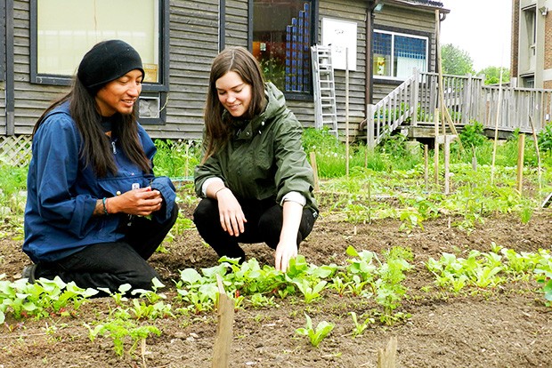 City Farm School interns Adam Pedro and Malissa Levitsky pick radishes from their plot. 
