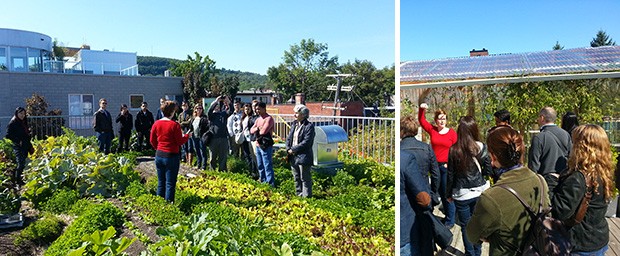 Meghan Gilmore, director of development at Santropol Roulant, addresses participants of the MBA Sustainable Orientation on the Roulant’s rooftop garden.