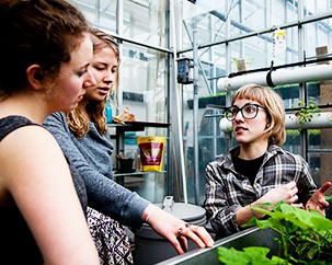 Are you a budding urban agriculturist? Join Concordia’s City Farm School