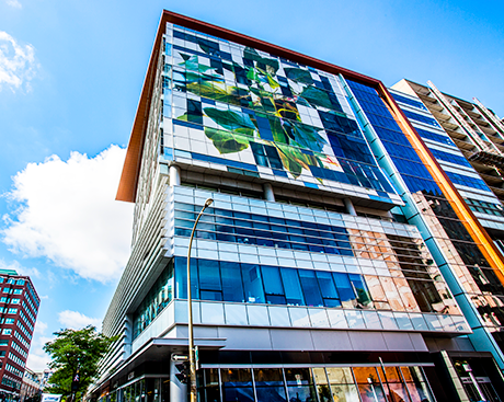 Concordia leads the way in energy efficiency