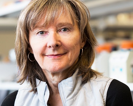 Concordian Ann English is Canada's leading female chemist of 2017
