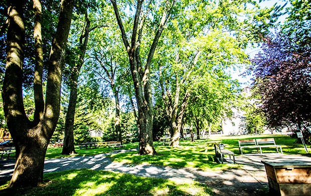 This is the first full summer the Grey Nuns garden will be open. | Photos: Concordia University