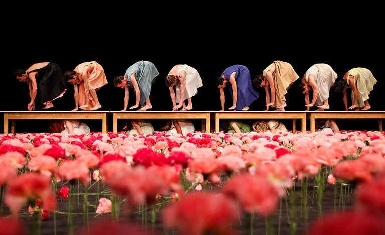 People in gowns on all fours, with red and pink flowers in the foreground.