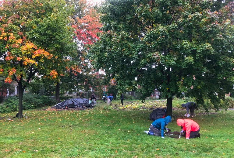 People in raincoats, digging in a grassy field, with autumn leaves and maple trees around.
