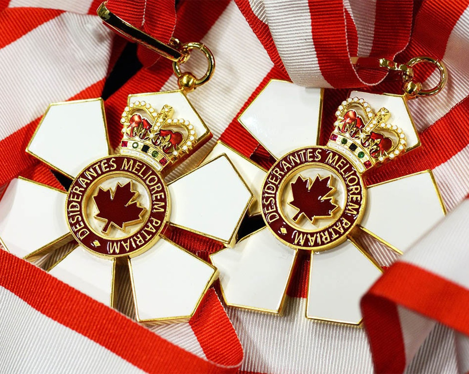 8 Concordians among newest Order of Canada honourees
