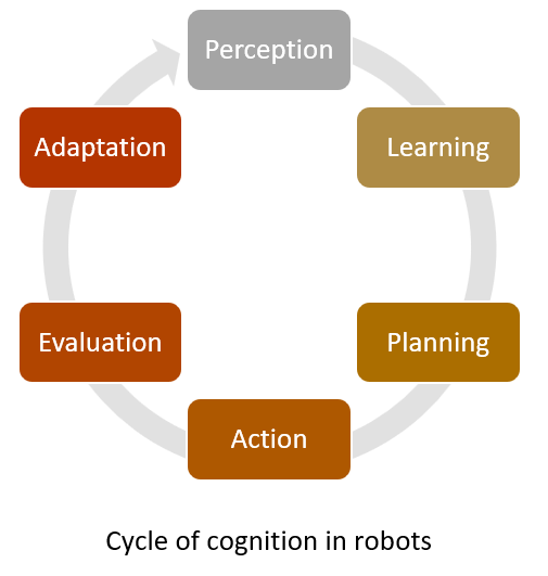 Cycle of cognition in robots