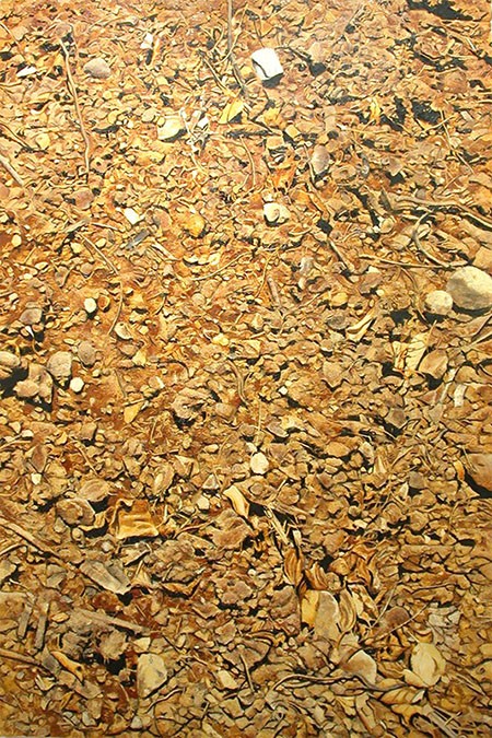 Isabelle Guillard, Rocky soil (2004), 48 X 72 inches, oil on canvas