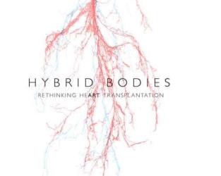hybrid-bodies hybrid-bodies