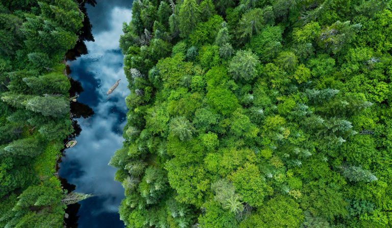 Vue aérienne de la forêt naturelle boréale en été, Québec, Canada.