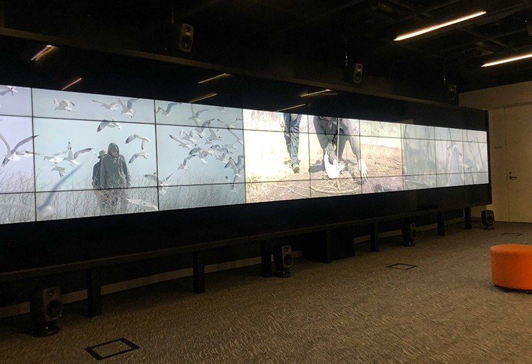 Plusieurs écrans placés contre un mur, formant un long écran avec des images de personnes et de mouettes en plein air.