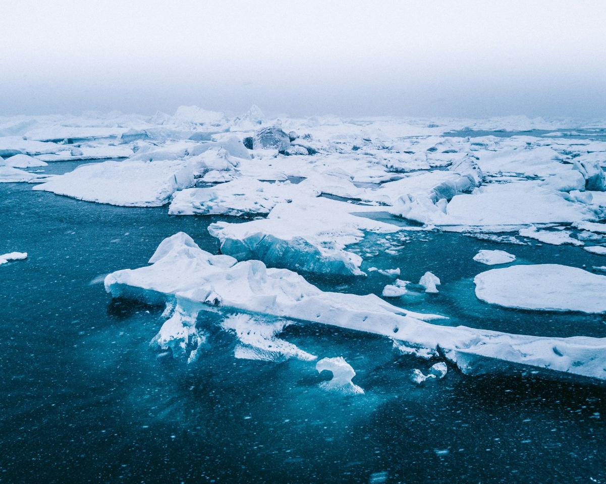 Des chercheurs de l’Université Concordia constatent une diminution de la richesse génétique microbienne dans l’ouest de l’océan Arctique