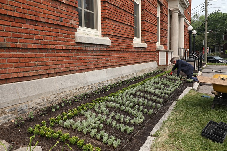 A photograph of a gardener planting a mosaic garden on the side of a building.