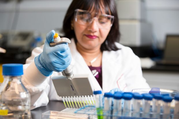 A Concordia student works on an experiment in the Wilds Lab