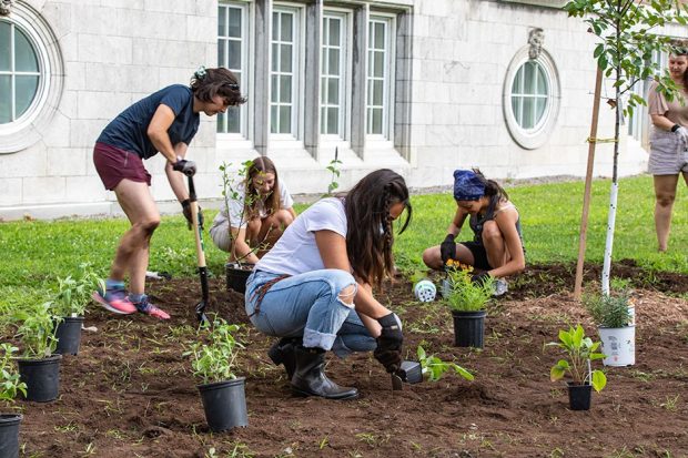 Three volunteers help plant trees on the Loyola campus