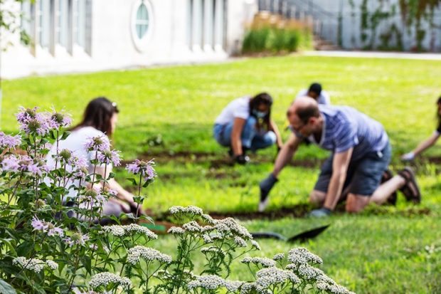 Three volunteers help plant trees on the Loyola campus