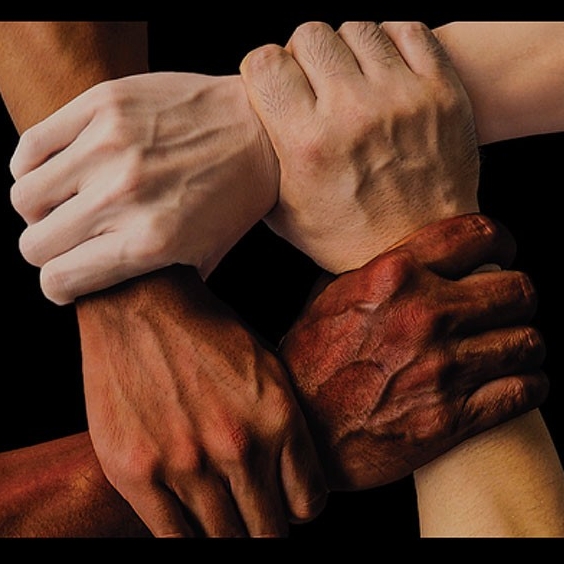 Four different hands hold each other by the wrist in an interlocking pattern.