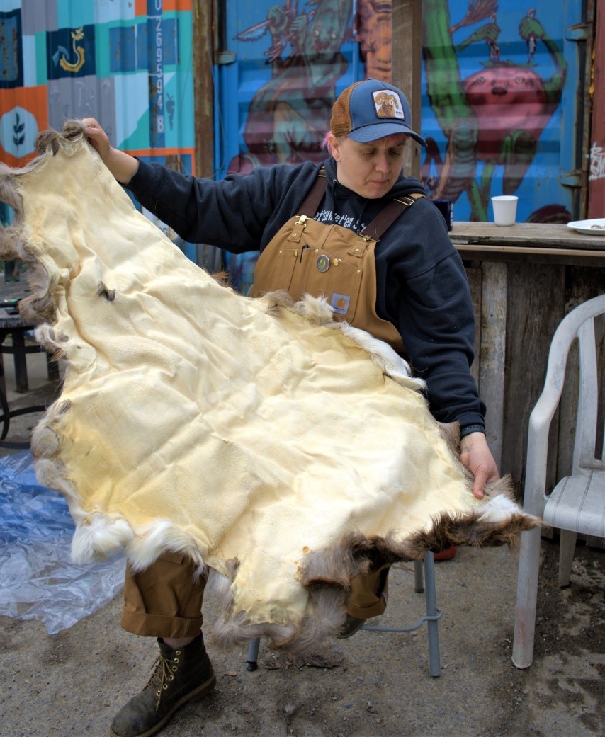 Photograph of an individual seated, stretching a moosehide between their hands.