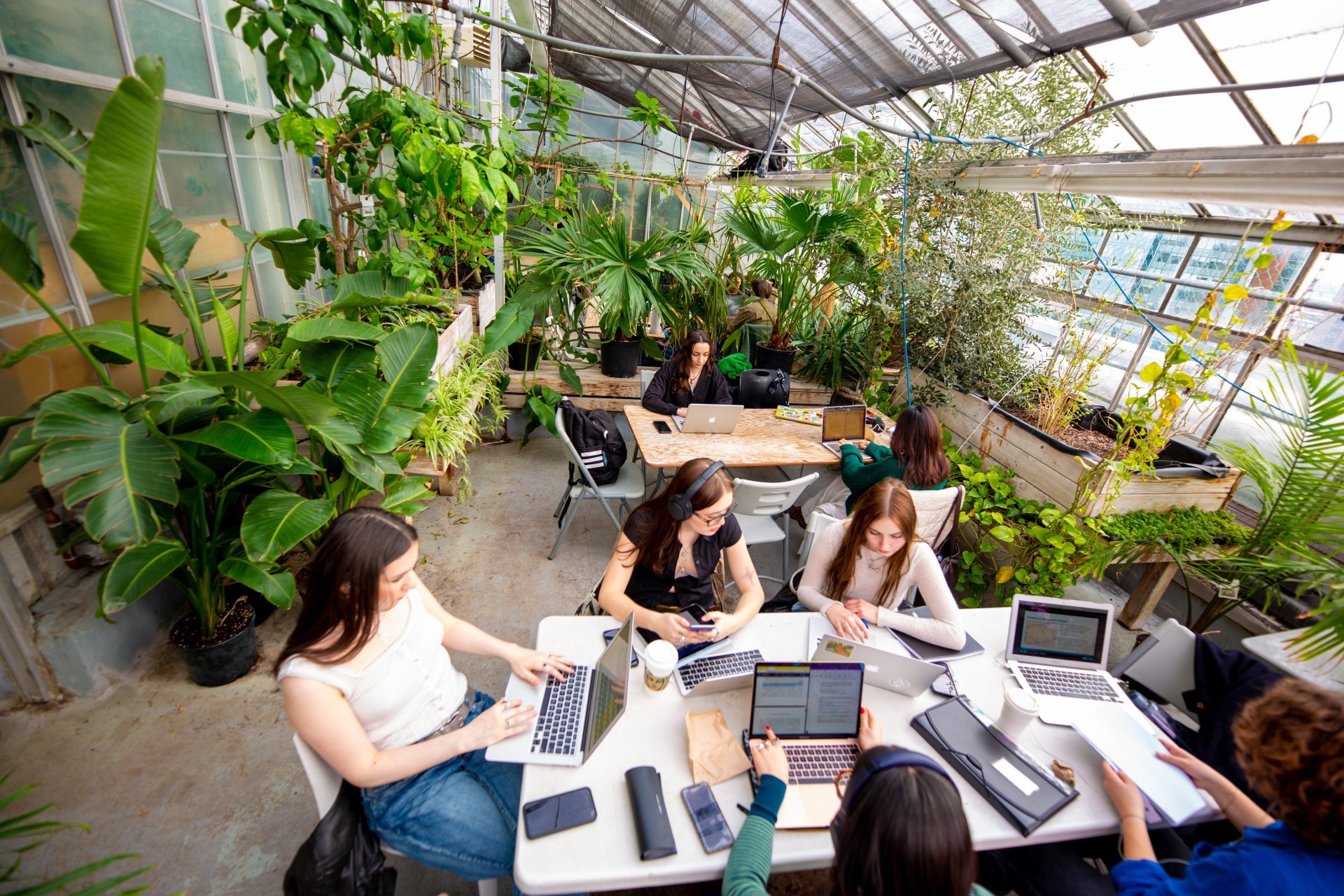 People co-working on their computers in the lush Greenhouse.