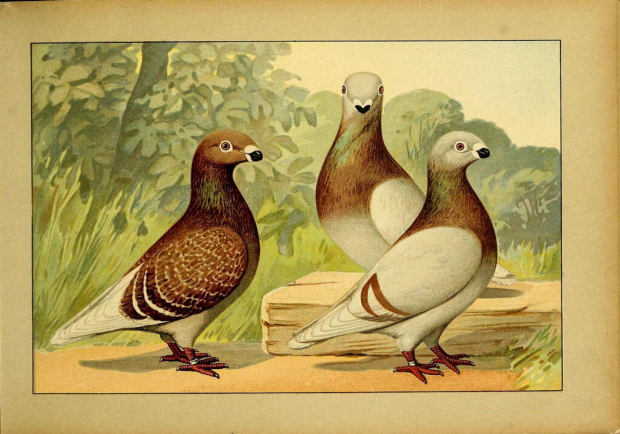 Playful public art along a pedestrianized street in Montreal