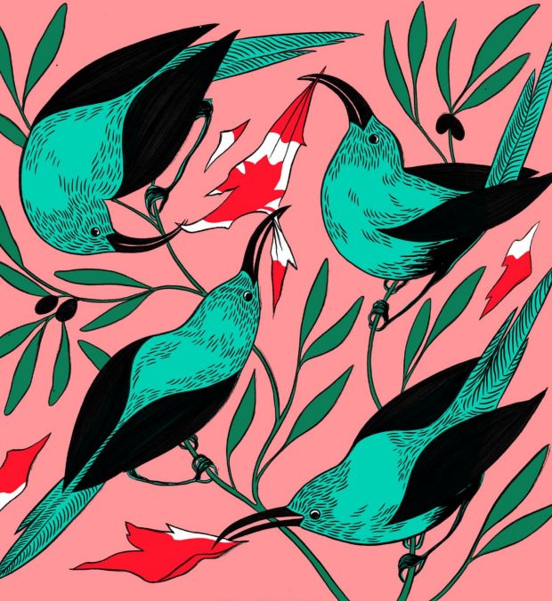 A line of butterflies in their cocoons