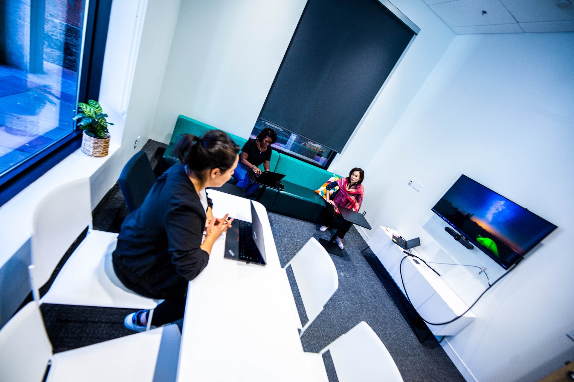 Three females are working in the lounge room: 1 is seated on a white chair with their laptop on a white table; the two others are seating on a long green couch. The room includes a green plan by the window, a short table and a TV screen. 