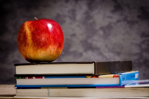 Adult Education (GrDip)