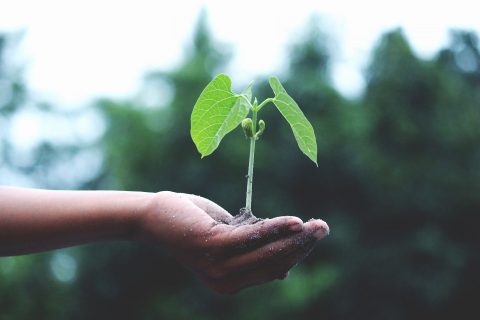 Community Economic Development (GradDip)