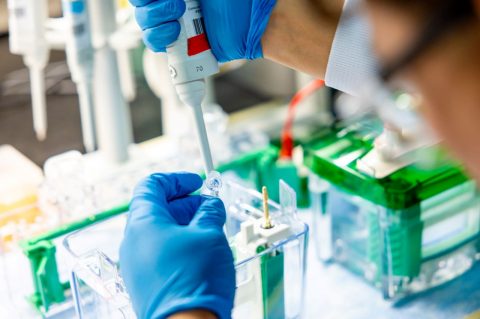 Global Health Entrepreneurship (Microprogram)