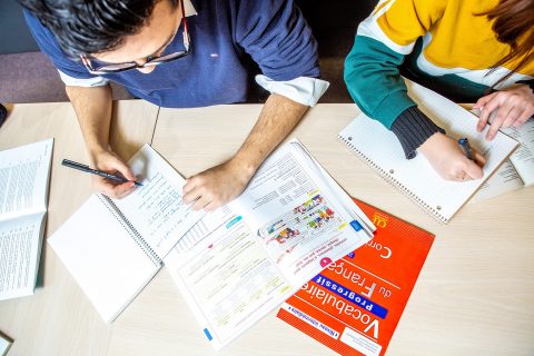 French Studies (Études françaises) (BA, Cert)