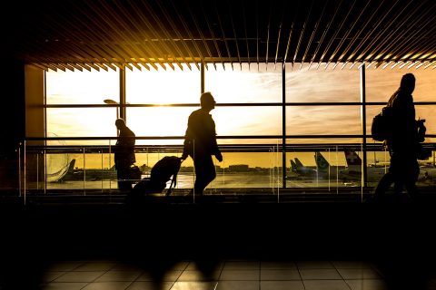 Immigration Studies (Cert)
