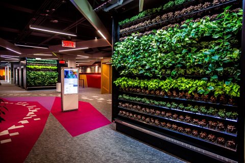 Sustainability Studies