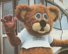 The CUSA Bear