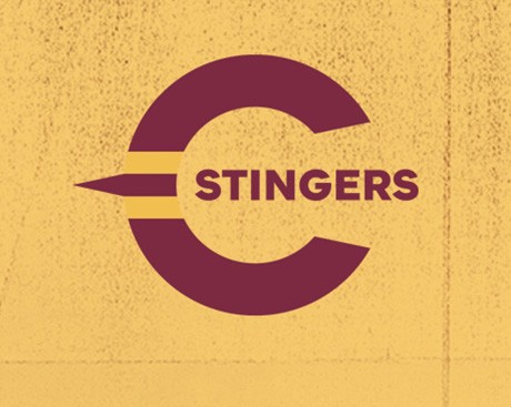 Stingers rebranded